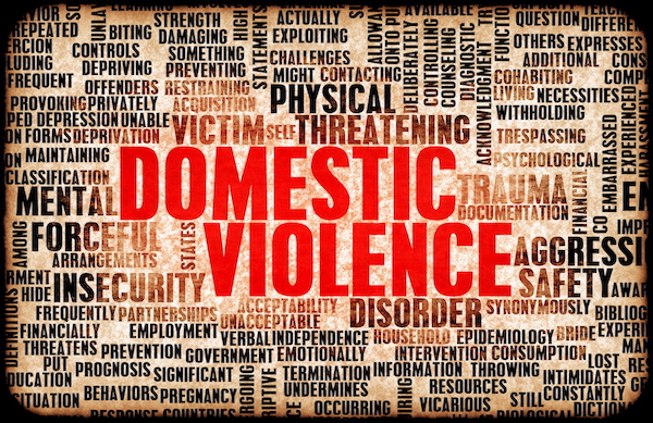 dazzling-insights-domestic violence