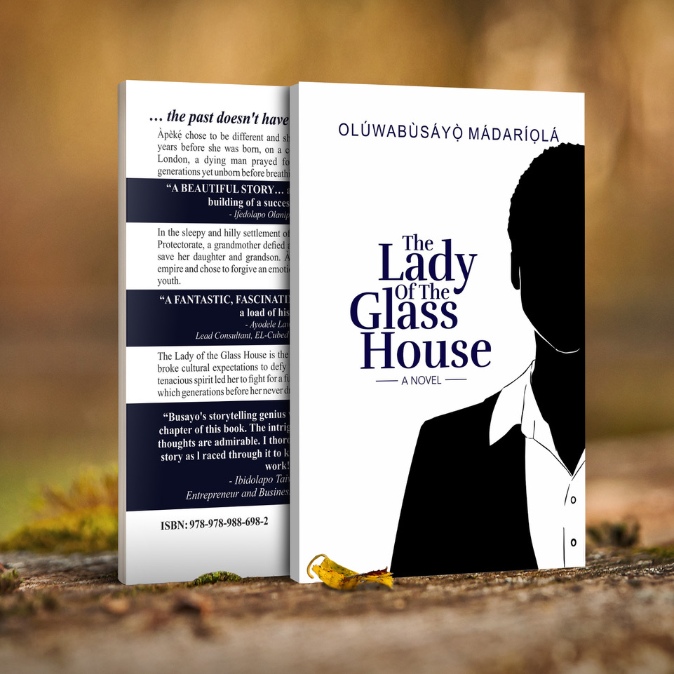 dazzling-insights_the lady of the glass house cover